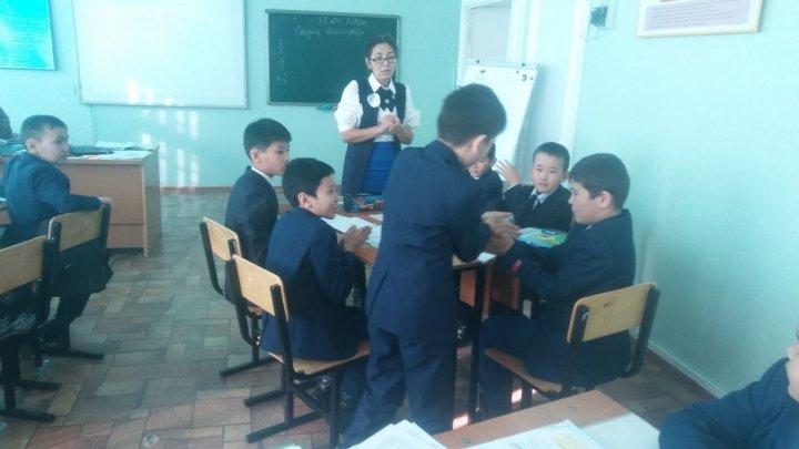 Жаратылыстану пәндері онкүндігінің ашық сабақтар топтамасы