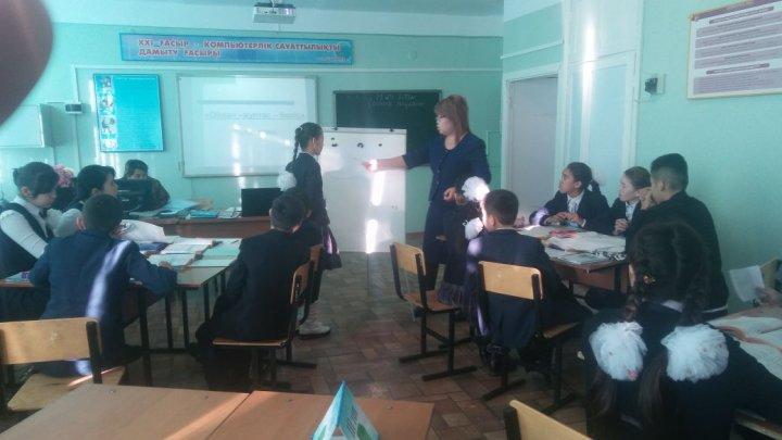 Жаратылыстану пәндері онкүндігінің ашық сабақтар топтамасы