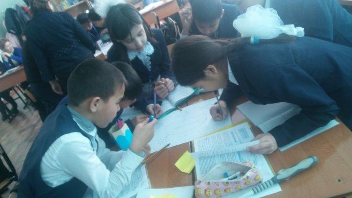 Жаратылыстану пәндері онкүндігінің ашық сабақтар топтамасы